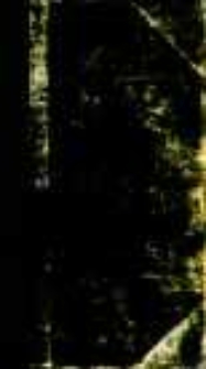 Opere di Silvio Pellico da Saluzzo