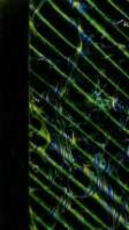 Souvenirs du baron de Barante: de l'Acad&eacute;mie fran&ccedil;aise: 1782-1866. T.2