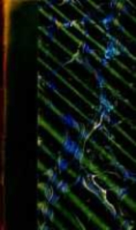 Souvenirs du baron de Barante: de l'Acad&eacute;mie fran&ccedil;aise: 1830-1832. T.4