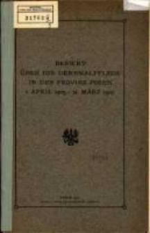 Bericht über die Denkmalpflege in der Provinz Posen. 1905-1907 (1907)