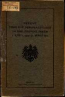 Bericht über die Denkmalpflege in der Provinz Posen.1909-1911 (1911)