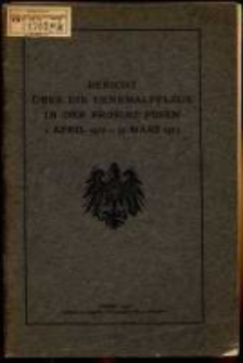 Bericht über die Denkmalpflege in der Provinz Posen. 1911-1913 (1913)