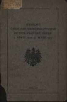 Bericht über die Denkmalpflege in der Provinz Posen. 1913-1917 (1918)