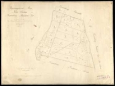 Regierungsbezirk Posen, Kreis Schrimm, Gemarkung Prusinowo Gut. Aus der im Jahre 1823 durch Kuhn [...] im Jahre 1827 [...] durch Ziehlke [...] copirt und rectifizirt durch [...] Kapler, angefertigt [...] 1865 durch [...] Neuman.