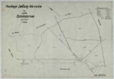 Fundacja "Zakłady K&oacute;rnickie". Plan majątku Dziećmierowo...