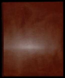 Kolekcja akt z XVI-XVII w. (dotyczących głównie elekcji)