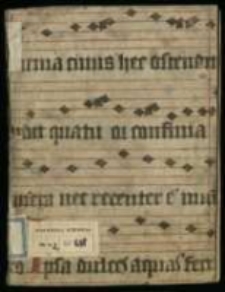 "Liber Francisci Aloysii Łoski, Rhetorica, Praxes, Orationes et Carmina."