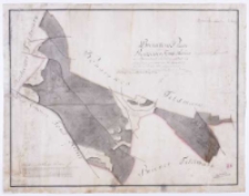 Brouillon Plan von dem Radzewer Forst - Revier [...] im 1801 [...] durch Hahn.