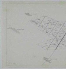 Fundacja "Zakłady K&oacute;rnickie". Mapa drzewostanowa rewiru Błażejewo Czmoń I.