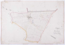 Charte von Dębiec Schrimer Kreisses. Aufgemommen [...] durch Ziehlke.