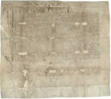 [Instrument notarialny wyroku oficjała poznańskiego Mikołaja Sobockiego w sprawie między ks. Piotrem Rąbińskim, plebanem z Tulc, a ks. Marcinem, plebanem w Głęboczku, o dziesięciny pieniężne ze wsi parafialnych Głęboczek i Zielonka]