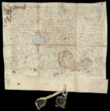 [Wyrok intromisji w dobra Zofii, dziedziczki Drzeczkowa i Grodziska, dla Andrzeja Daleszyńskiego z Radomicka w sprawie o zbiegłego poddanego Mikołaja z Boguszyna].