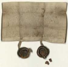 [Bartosz Wezenborg z Gostynia kasztelan nakielski wraz z bratem swym niedzielnym Januszem nadają jatki i ustalają obowiązki rzeźnik&oacute;w gostyńskich.]