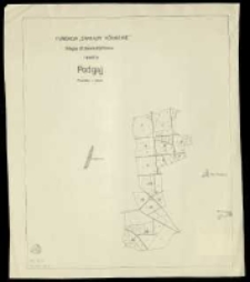 Fundacja "Zakłady K&oacute;rnickie". Mapa drzewostanowa rewiru Podgaj.