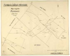 Fundacja "Zakłady Kórnickie". Plan majątku Runowo [...].