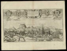 Leopolis Russice Australis urbs primaria, emporium mercium Orientalium celeberrimum.