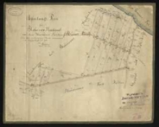 Abfindungs Plan f&uuml;r Błażejewo Hauland in der Kurniker Forsten. Aus der vorhandenen Charte entnommen und angefortigt i. J. 1855 von Ziehlke.