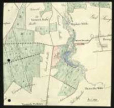 [Wycinek z nieokreślonej mapy obejmujący mapę las&oacute;w ośrodka smoguleckiego].