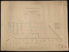 Gospodarstwo "po Serwatkiewiczu" w Konarskiem. Pomierzył, wyrysował i podzielił w sierpniu 1881 roku A. Kausz.