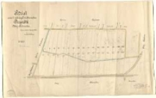 Podział parceli naležących do borowstwa Drapałki [...]. Opracowano [...] Krzywoszyński.