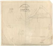 Fundacja "Zakłady Kórnickie". Parcele w obrębie miasta Bnin. Przekopiował z mapy katastralnej Szczebliński.