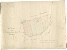 Charte von dem zu Trzebaw gehoörigen Wiesen Terrain Kierszki genannt. Copirt durch Ziehlke.