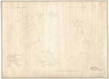 Regierungs Bezirk: Posen, Kreis Schrimm. Auszug aus den Gemarkungskarten der Stadt Kurnik und Bnin, enthaltend die zur Herrschaft Kurnik geh. Grundstücke. Gefertigt im August 1865 durch Strasberg, revidirt Neuman.