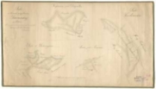 Łąki w borach majętności Kurnickiej położone. Celem wydzierżawienia pomierzył i podzielił 1870-go roku [...] Biederman.