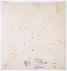 Kopja [!] mapy katastralnej obrębu [...] Prusinowo [...]. Przekopjował [!] T. Szczebliński.