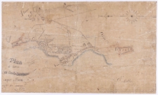 Plan du chat&ecirc;au du comte Dzialinski aupr&egrave;s de Kurnik et de ses environs fait et dessine par Ziehlke.