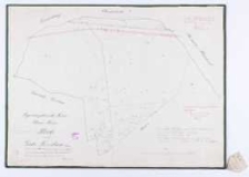 Regierungsbezirk Posen. Kreis Posen. Karte von dem Gute Trzebaw Blatt 1 ; kopirt 1822/23 durch Kuhn, kopirt und rectifizirt 1829 durch Ziehlke, nachmals copirt 1861 im Zeichnenbureau zu Posen, recopirt 1865 im Grundsteuerbureau zu Posen durch den Feldmasser Heinemann.