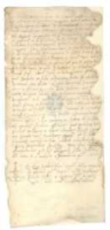 [Zobowiązanie Stefana Boni z San Vito do spłaty Pompejuszowi synowi Franciszka de Richeriis z Pordenone kwoty 183 funt&oacute;w pod zastaw hipoteki i wszystkich swych ruchomości.]