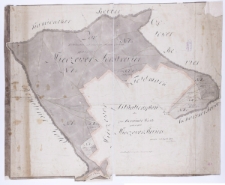 Situationsplan des zum Korniker Walde gehörigen Mieczewer Revirs gemessen im Sept[em]b[er] 1801 durch Wismar.