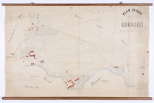 Plan parku w Kórniku. Rozmierzył Ziehlke, uzupełnił i przerysował [w] 1862 roku Biederman.