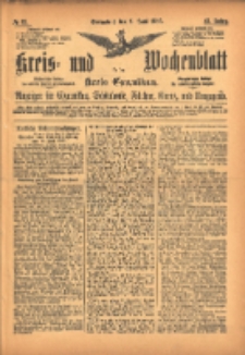 Kreis- und Wochenblatt f&uuml;r den Kreis Czarnikau: Anzeiger f&uuml;r Czarnikau, Sch&ouml;nlanke, Filehne, Kreuz, und Umgegend. 1895.06.08 Jg.43 Nr65