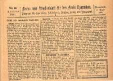 Kreis- und Wochenblatt für den Kreis Czarnikau: Anzeiger für Czarnikau, Schönlanke, Filehne, Kreuz, und Umgegend. 1895.08.17 Jg.43 Nr95