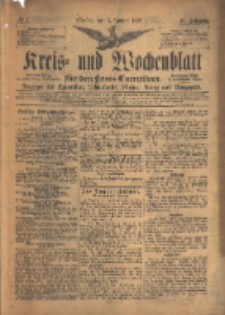 Kreis- und Wochenblatt für den Kreis Czarnikau: Anzeiger für Czarnikau, Schönlanke, Filehne, Kreuz, und Umgegend. 1897.01.05 Jg.45 Nr1