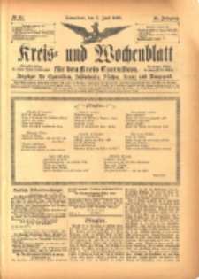 Kreis- und Wochenblatt f&uuml;r den Kreis Czarnikau: Anzeiger f&uuml;r Czarnikau, Sch&ouml;nlanke, Filehne, Kreuz, und Umgegend. 1897.06.05 Jg.45 Nr64