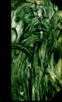 Manuel Biblique : ou, Cours d'&eacute;criture Sainte a l'usage des s&eacute;minaires. Ancien Testament T.1