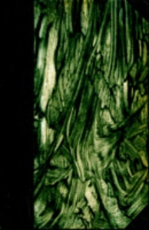 Manuel Biblique : ou, Cours d'&eacute;criture Sainte a l'usage des s&eacute;minaires. Ancien Testament T.2