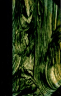 Manuel Biblique : ou, Cours d'&eacute;criture Sainte a l'usage des s&eacute;minaires. Nouveau Testament T.3