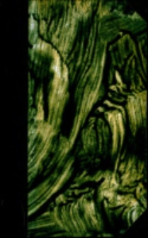 Manuel Biblique : ou, Cours d'&eacute;criture Sainte a l'usage des s&eacute;minaires. Nouveau Testament T.4