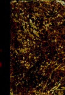 Biblioteka Polska: pamiętnik, umieiętnościom, historyi, literaturze i rzeczom kraiowym poświęcony. 1826 T.1