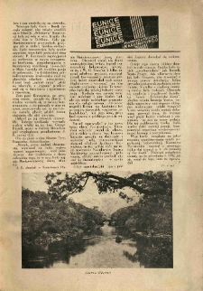Bluszcz. Społeczno literacki ilustrowany tygodnik kobiecy. 1935.03.23 R.68 nr12