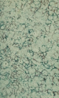 Vie de saint Jean de Kanti