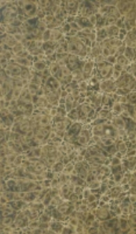 Chansons de P.- J. de B&eacute;ranger 1815-1834: contenant les dix chansons publi&eacute;es en 1847