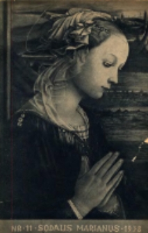 Sodalis Marianus : miesięcznik, organ sodalicyj polskich 1938.11 R.37 Nr11