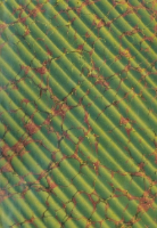 Oeuvres de Saint Bernard. T.4 Sermons: 1. Sur les saints; 2. Sur divers sujets; 3. Paraboles. Sermons et opuscules de Gillebert, de Guiges, de Guillaume, de Saint Thierry