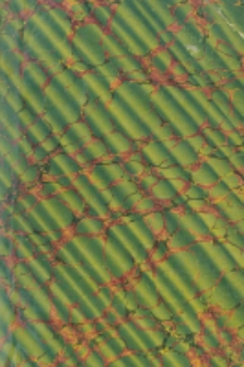 Oeuvres de Saint Bernard. T.1 Vie de Saint Bernard. Lettres de Saint Bernard