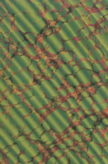 Oeuvres de Saint Bernard. T.2 Lettres de Saint Bernard. Traités divers